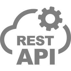 REST API